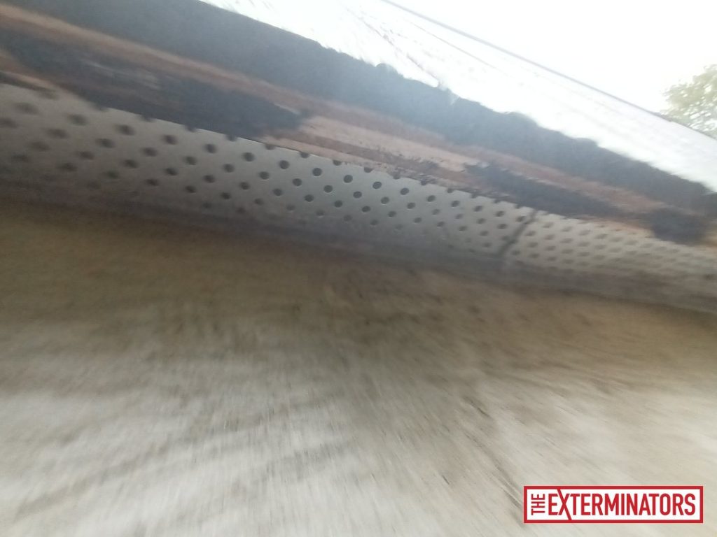 haliburton soffit screening inspection 07 haliburton soffit screening inspection 07