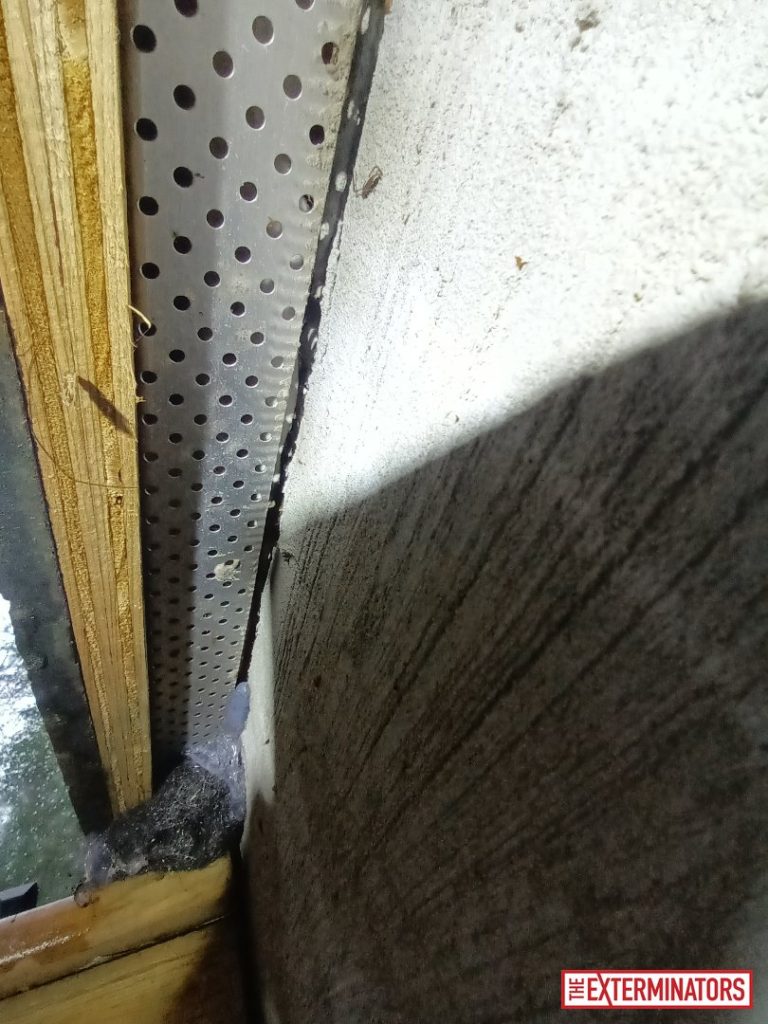 haliburton soffit screening install 02 haliburton soffit screening install 02