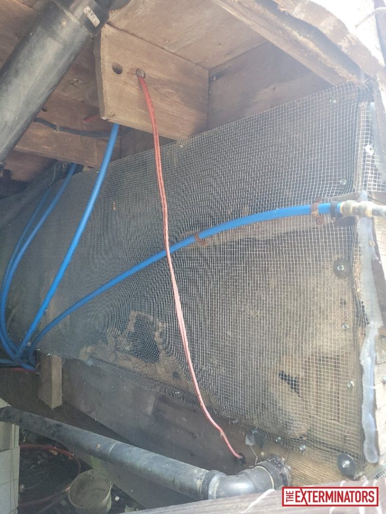 haliburton crawlspace screening install 08 haliburton crawlspace screening install 08
