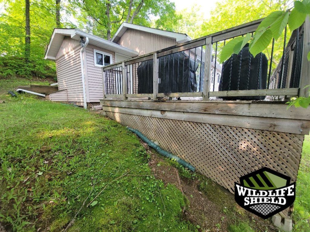 haliburton deck overview inspection 02 haliburton deck overview inspection 02