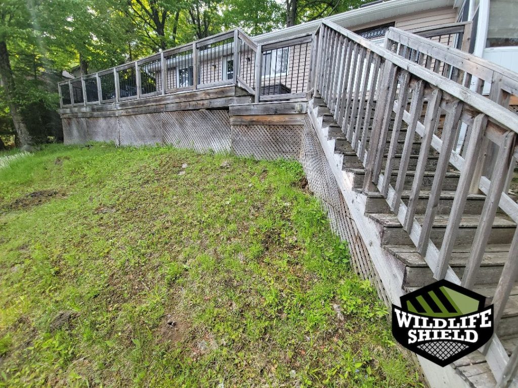 haliburton deck overview inspection 03 haliburton deck overview inspection 03