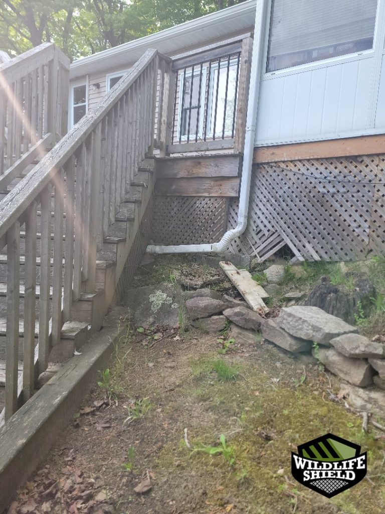 haliburton deck overview inspection 04 haliburton deck overview inspection 04