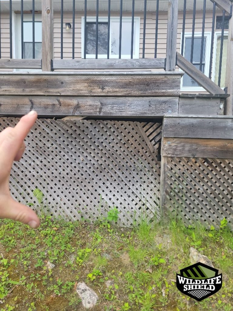 haliburton deck overview inspection 05 haliburton deck overview inspection 05