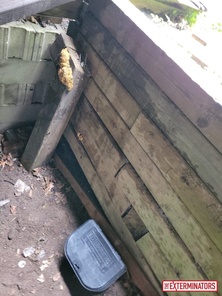 haliburton deck structural damage inspection 03 haliburton deck structural damage inspection 03