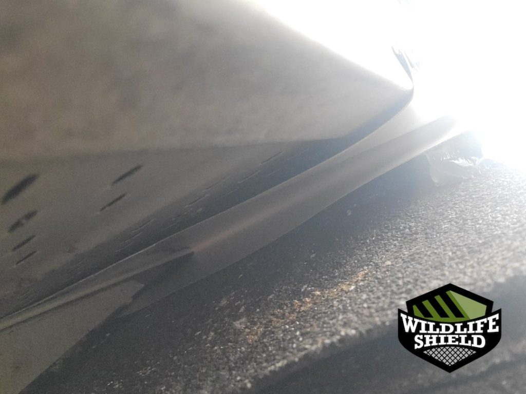 haliburton eave overview inspection 04 haliburton eave overview inspection 04