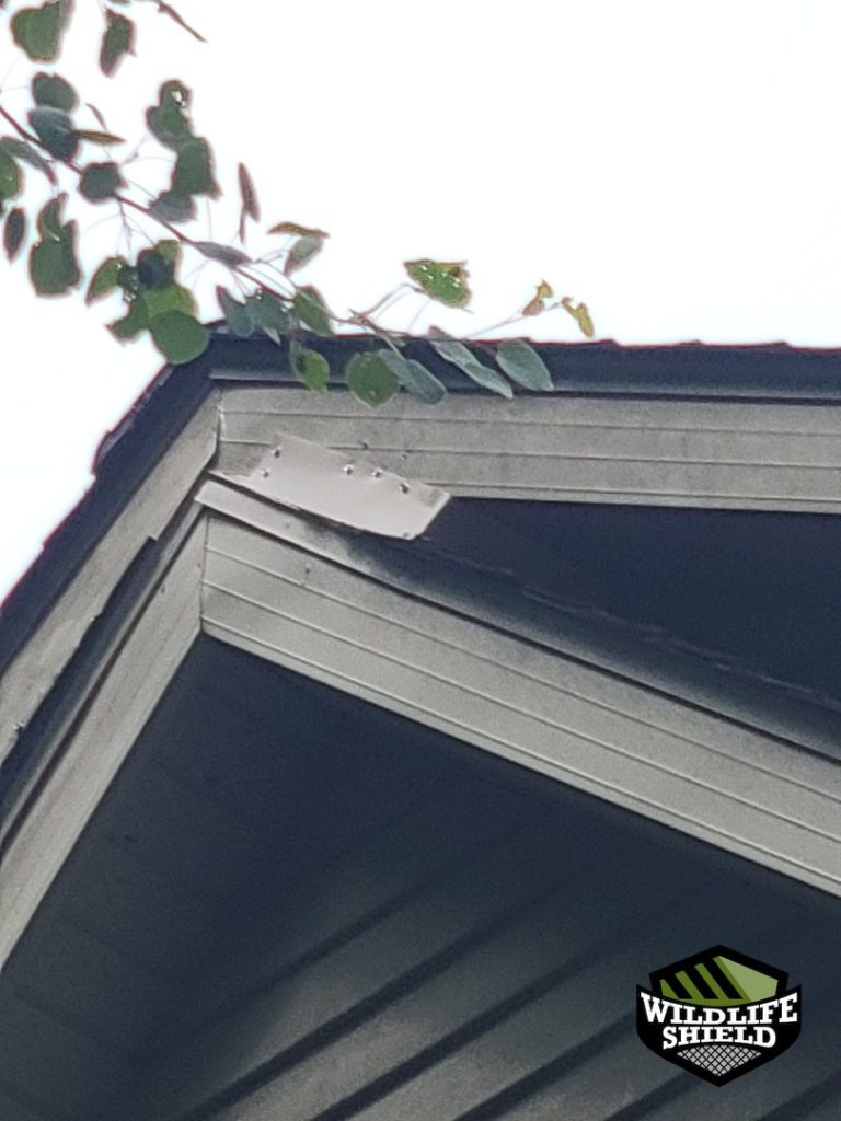 haliburton eave repair after 06 haliburton eave repair after 06