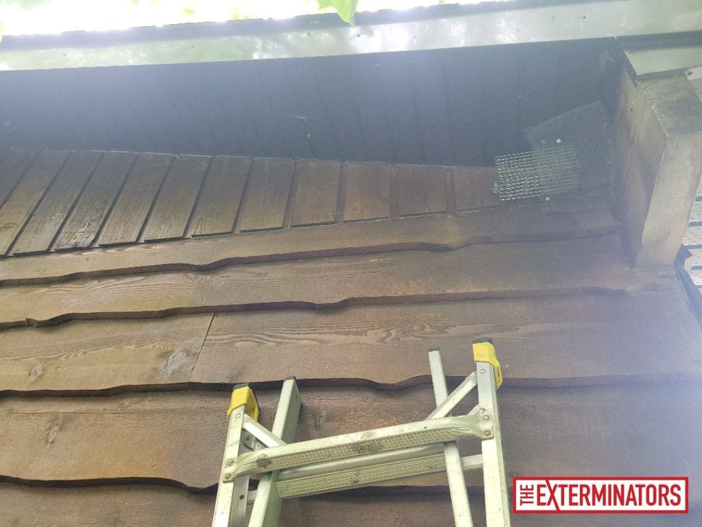 haliburton exterior screening install 07