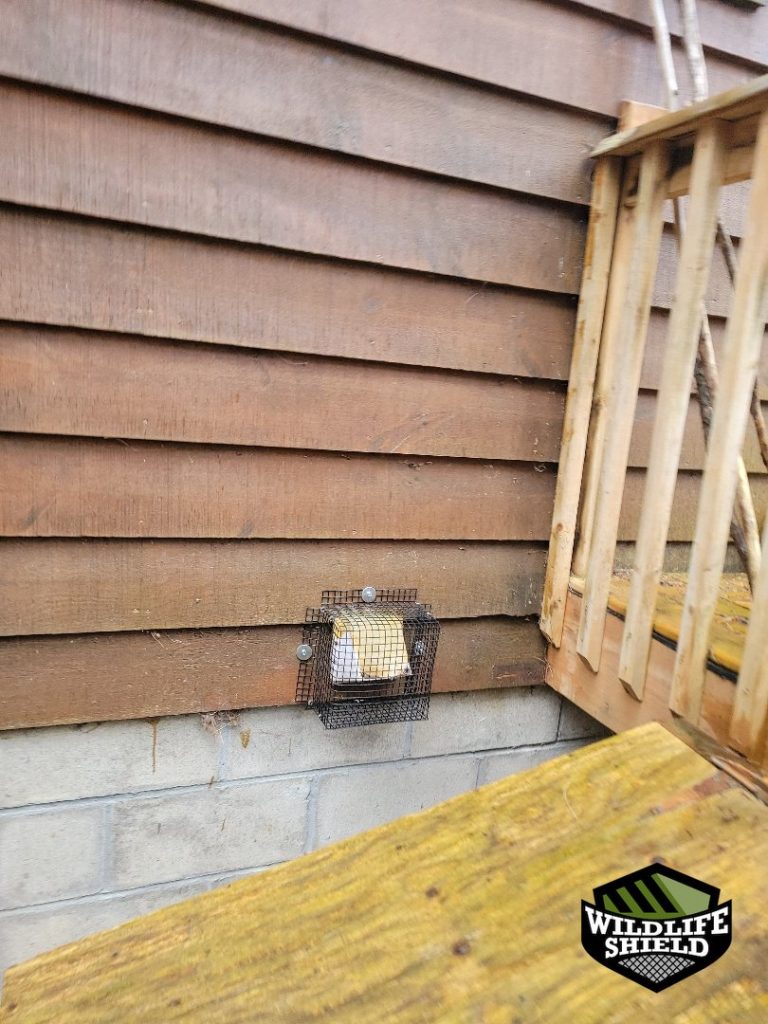 haliburton interior screening install 08 haliburton interior screening install 08