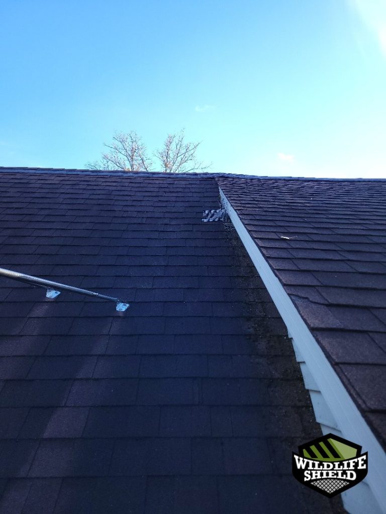 haliburton roof overview inspection 02 haliburton roof overview inspection 02