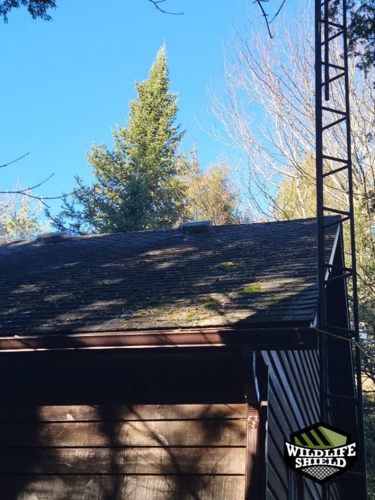 haliburton roof overview inspection 10 haliburton roof overview inspection 10