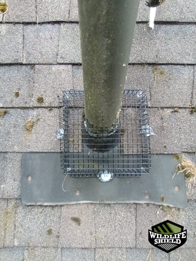 haliburton roof plumbing vent install 01 haliburton roof plumbing vent install 01