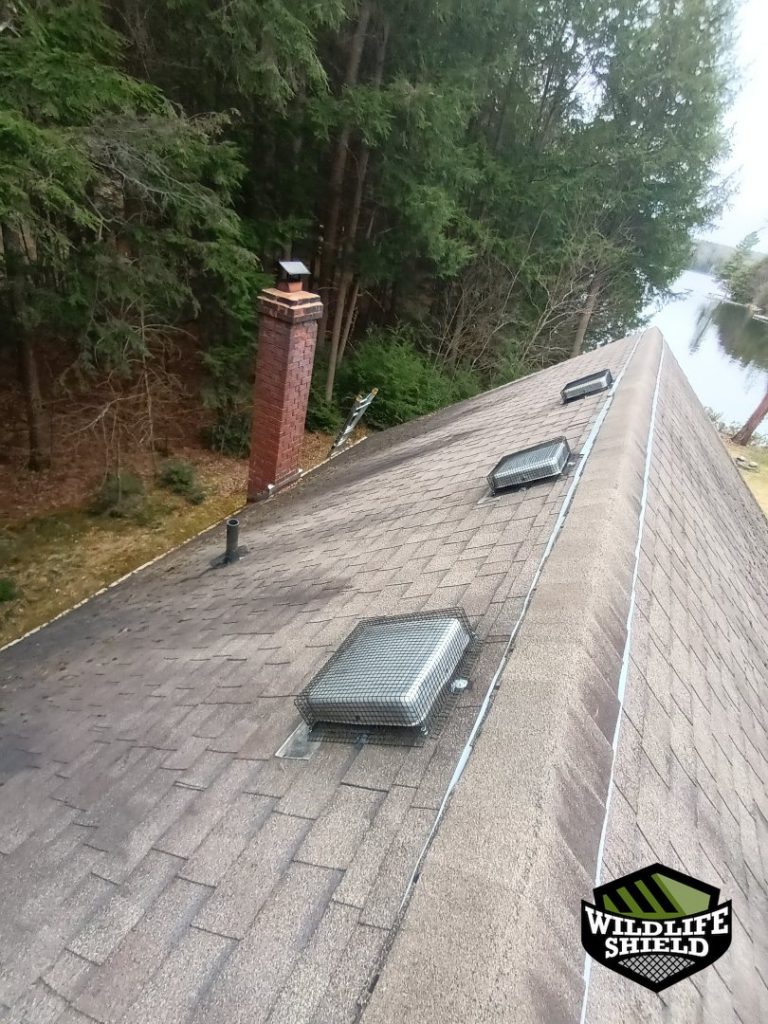 haliburton roof roof vent after 02 haliburton roof roof vent after 02