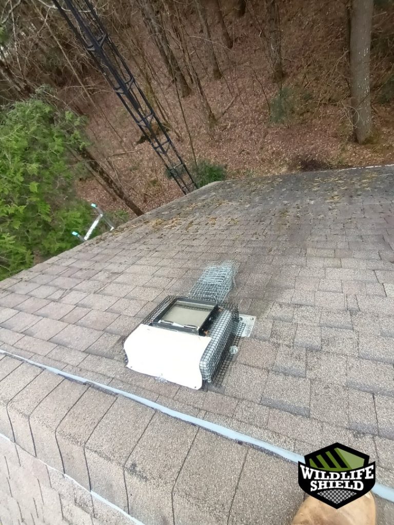 haliburton roof roof vent install 03