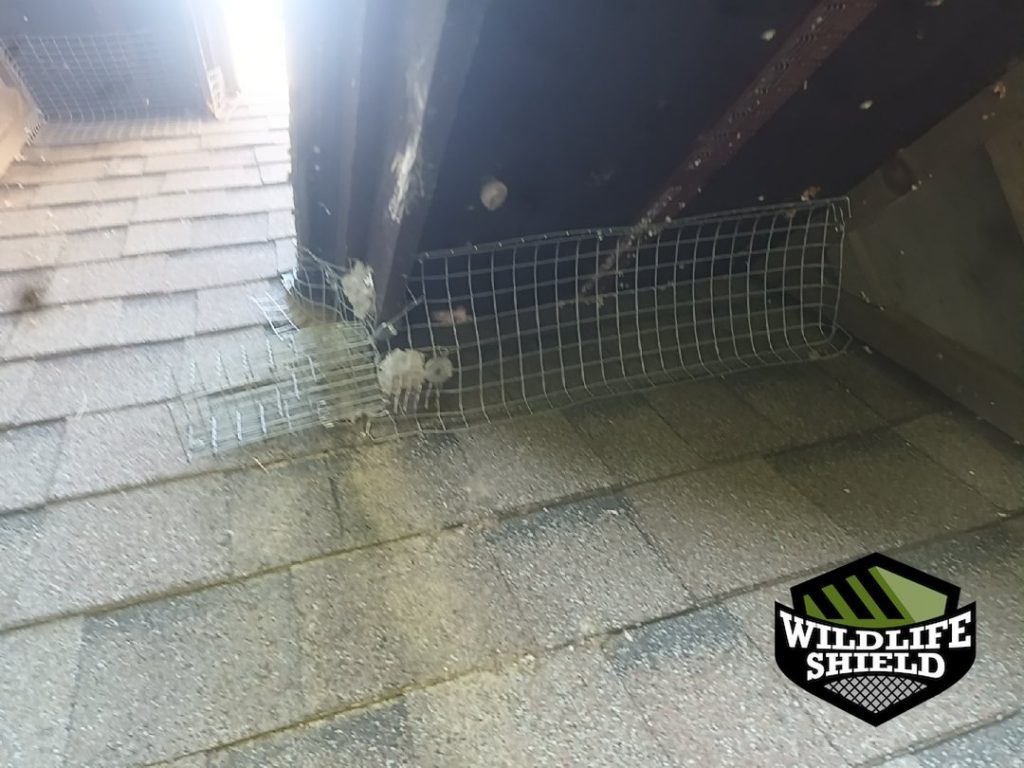 haliburton roof screening install 01