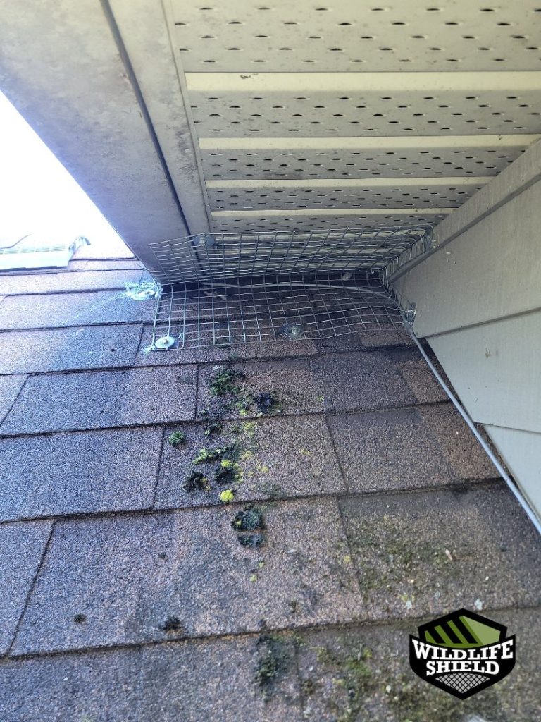 haliburton roof screening install 01 haliburton roof screening install 01