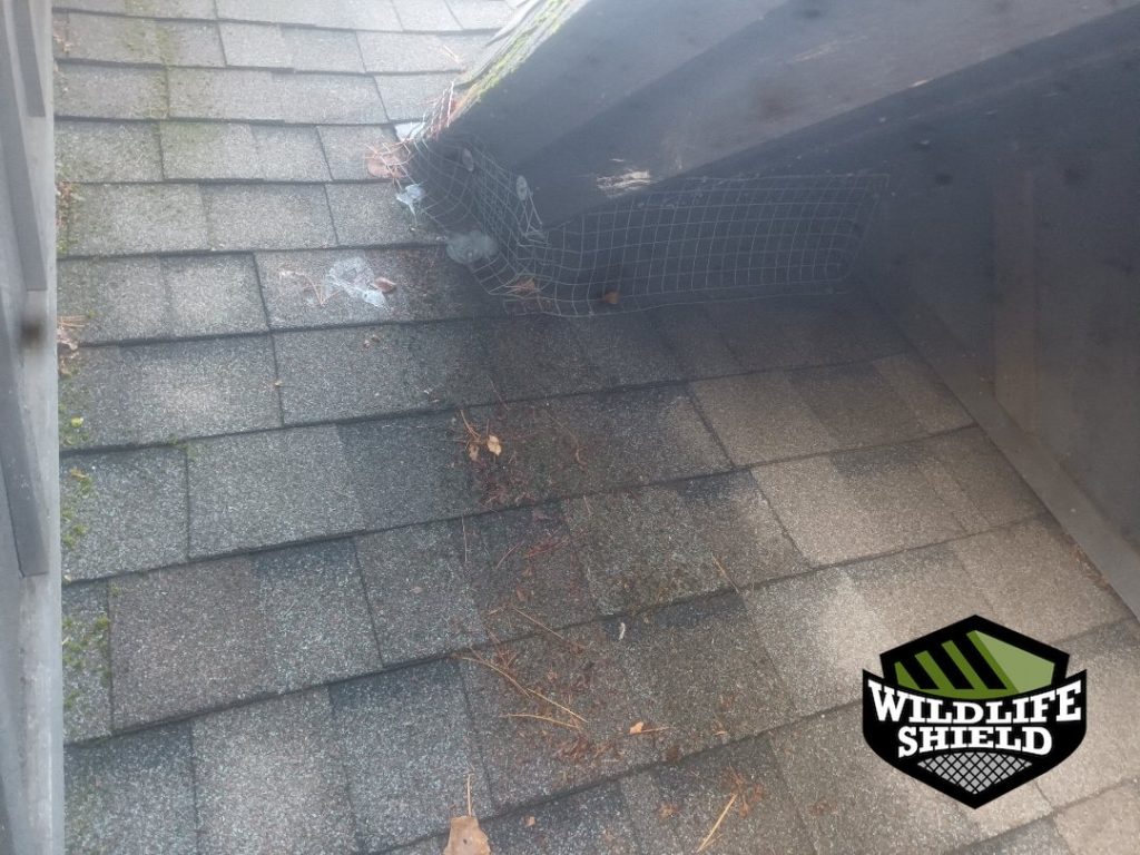 haliburton roof screening install 02 haliburton roof screening install 02