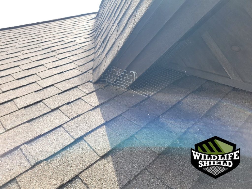 haliburton roof screening install 05 haliburton roof screening install 05