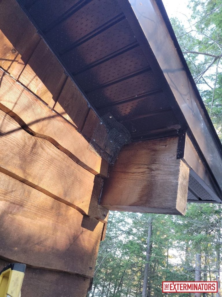 haliburton roof screening install 10 haliburton roof screening install 10