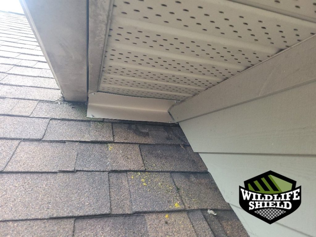 haliburton soffit overview inspection 03 haliburton soffit overview inspection 03