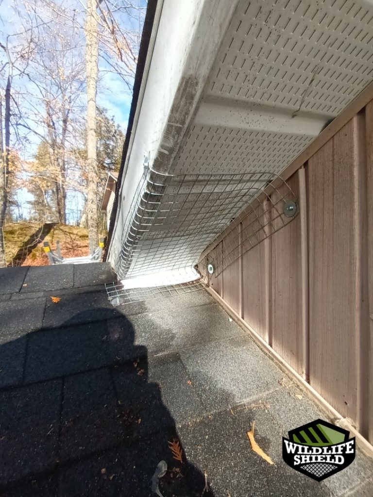 haliburton soffit screening after 01