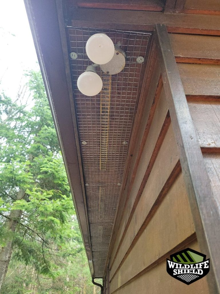 haliburton soffit screening after 06 haliburton soffit screening after 06