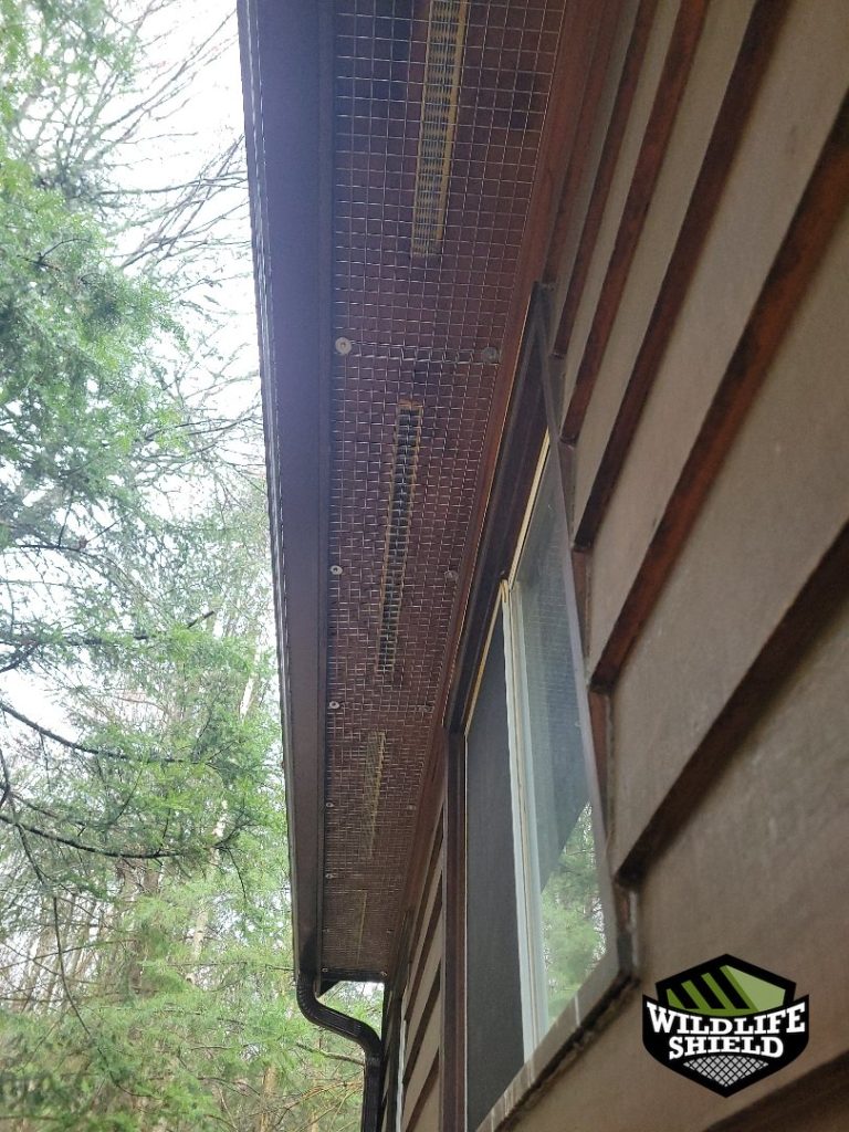 haliburton soffit screening after 07 haliburton soffit screening after 07