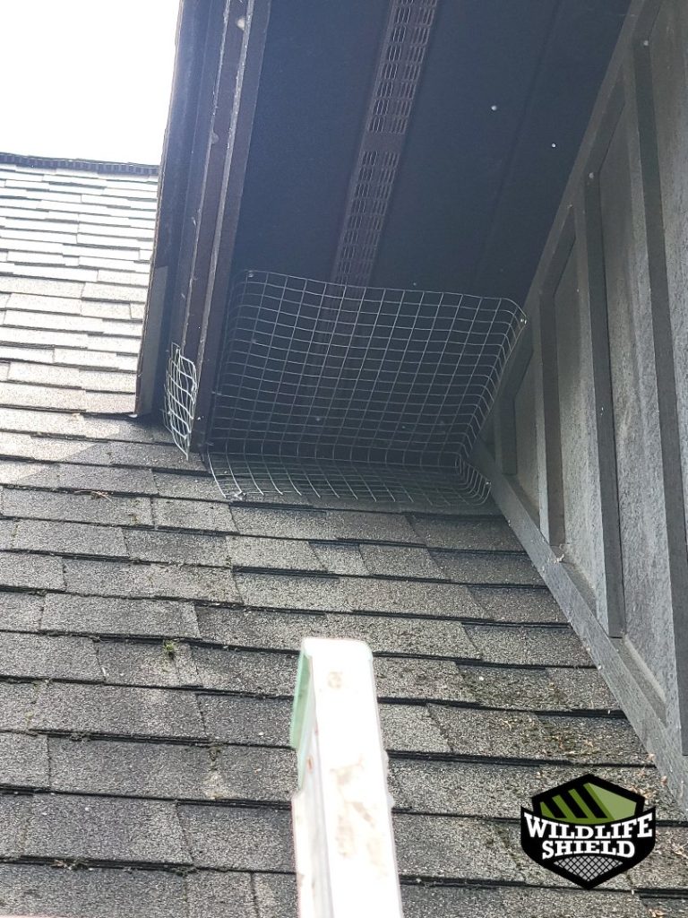 haliburton soffit screening install 04 haliburton soffit screening install 04