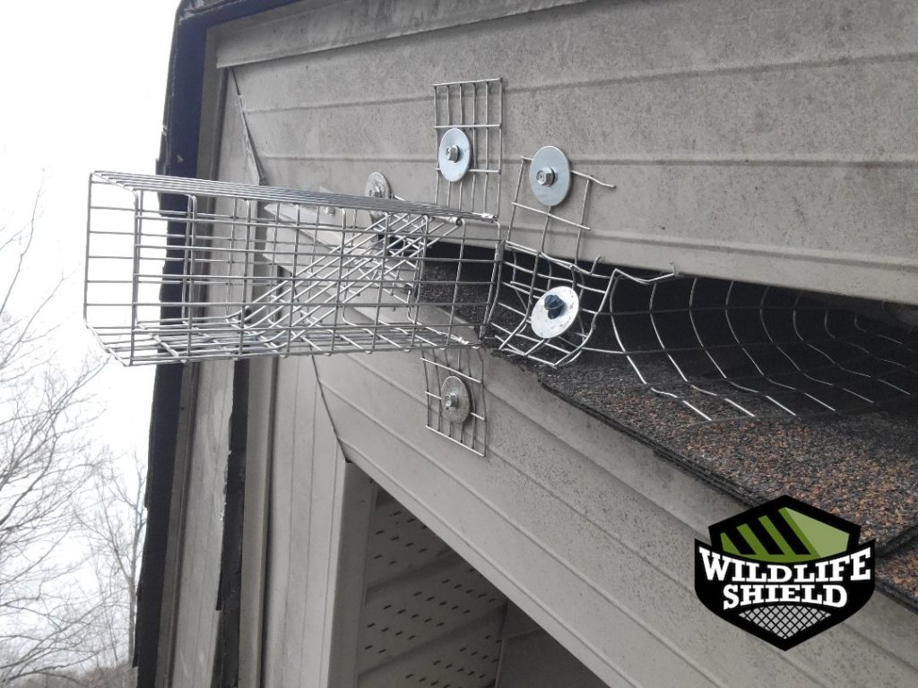 haliburton soffit screening install 05