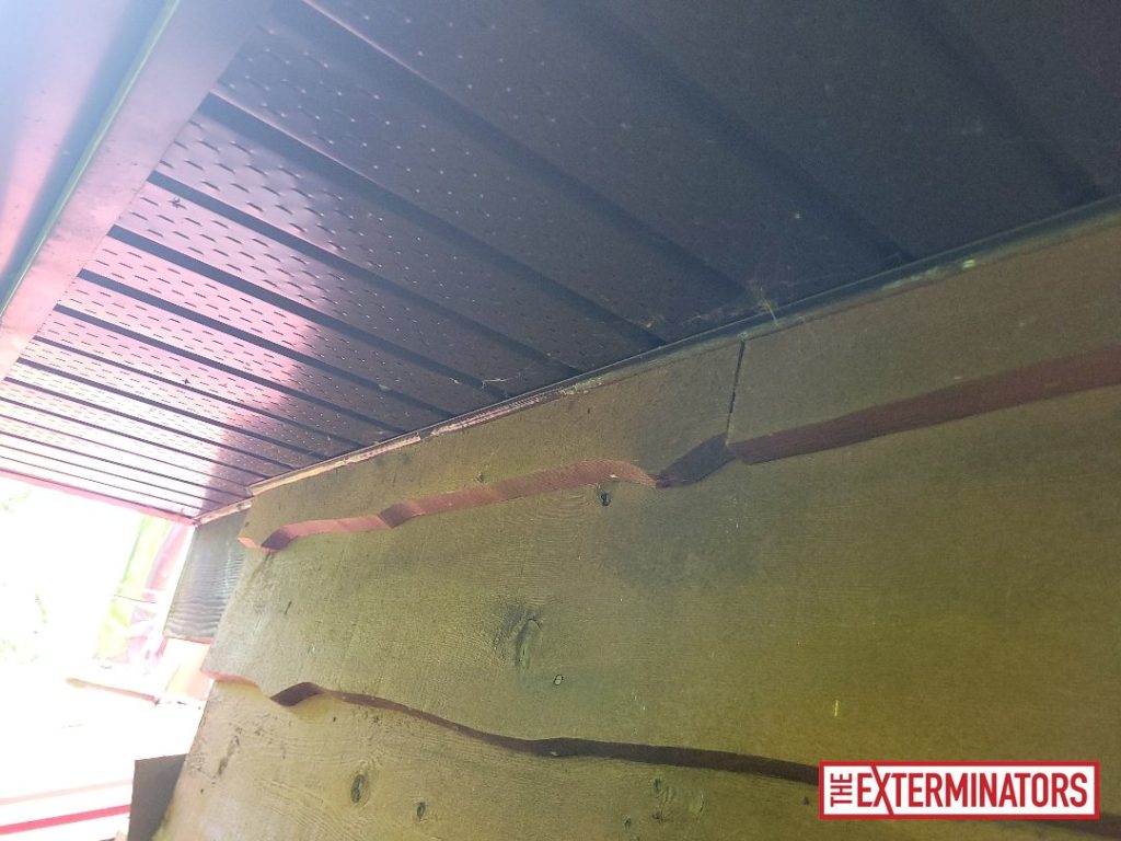 haliburton soffit screening install 06 haliburton soffit screening install 06